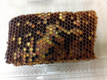 Перга в пчелна пита 144 g